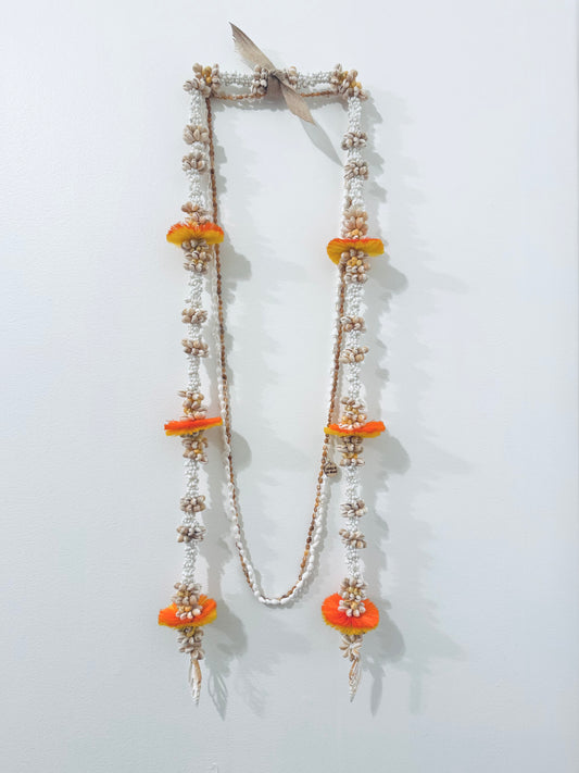 ORANGE DREAM